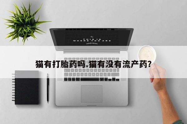 卖打胎药的微信猫有打胎药吗.猫有没有流产药？