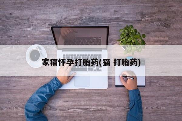 卖打胎药的微信家猫怀孕打胎药(猫 打胎药)