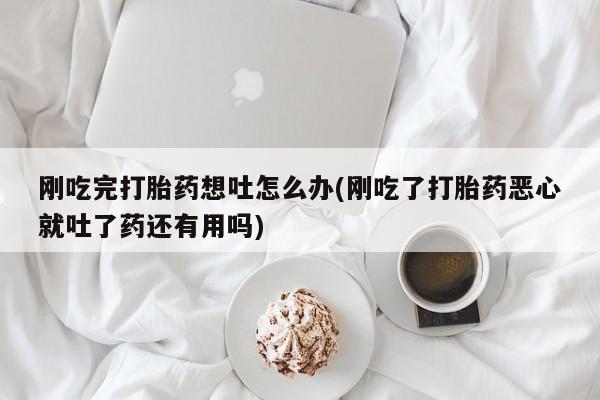卖打胎药的微信刚吃完打胎药想吐怎么办(刚吃了打胎药恶心就吐了药还有用吗)